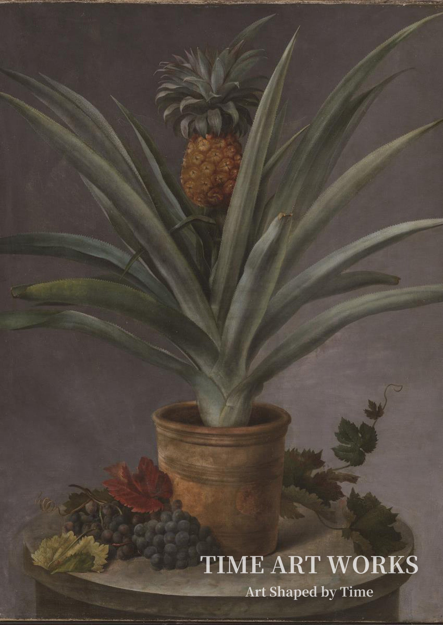 植木鉢に入ったパイナップルと石のテーブルに置かれたブドウ（En ananas i urtepotte og druer på et stenbord）— ネールガード、ヘルマニア（Neergaard, Hermania）