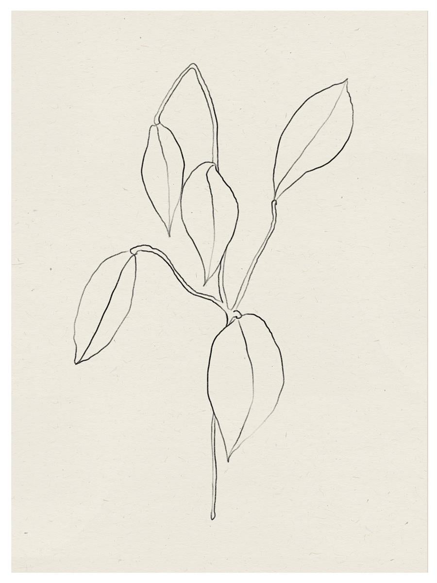 TAW BOHO アブストラクト TAW BOHO Abstract Art Poster205