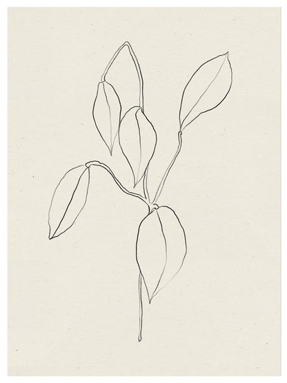 TAW BOHO アブストラクト TAW BOHO Abstract Art Poster205