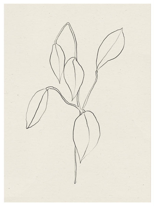 TAW BOHO アブストラクト TAW BOHO Abstract Art Poster205