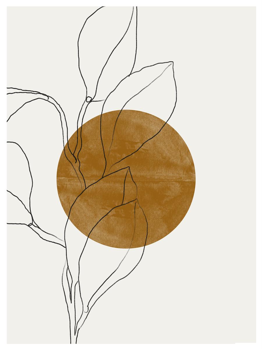 TAW BOHO アブストラクト TAW BOHO Abstract Art Poster264