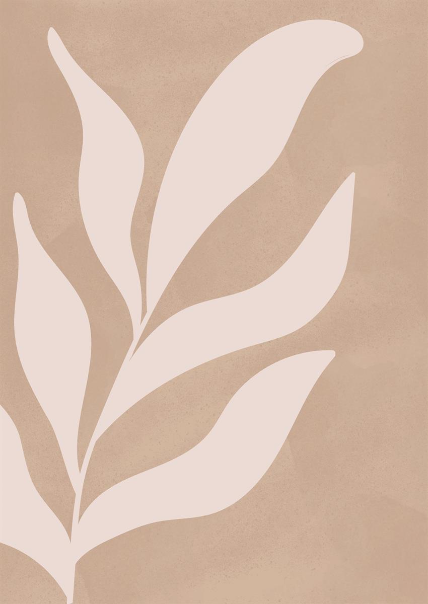 ボタニカルアートポスター Botanical Art Poster No.519